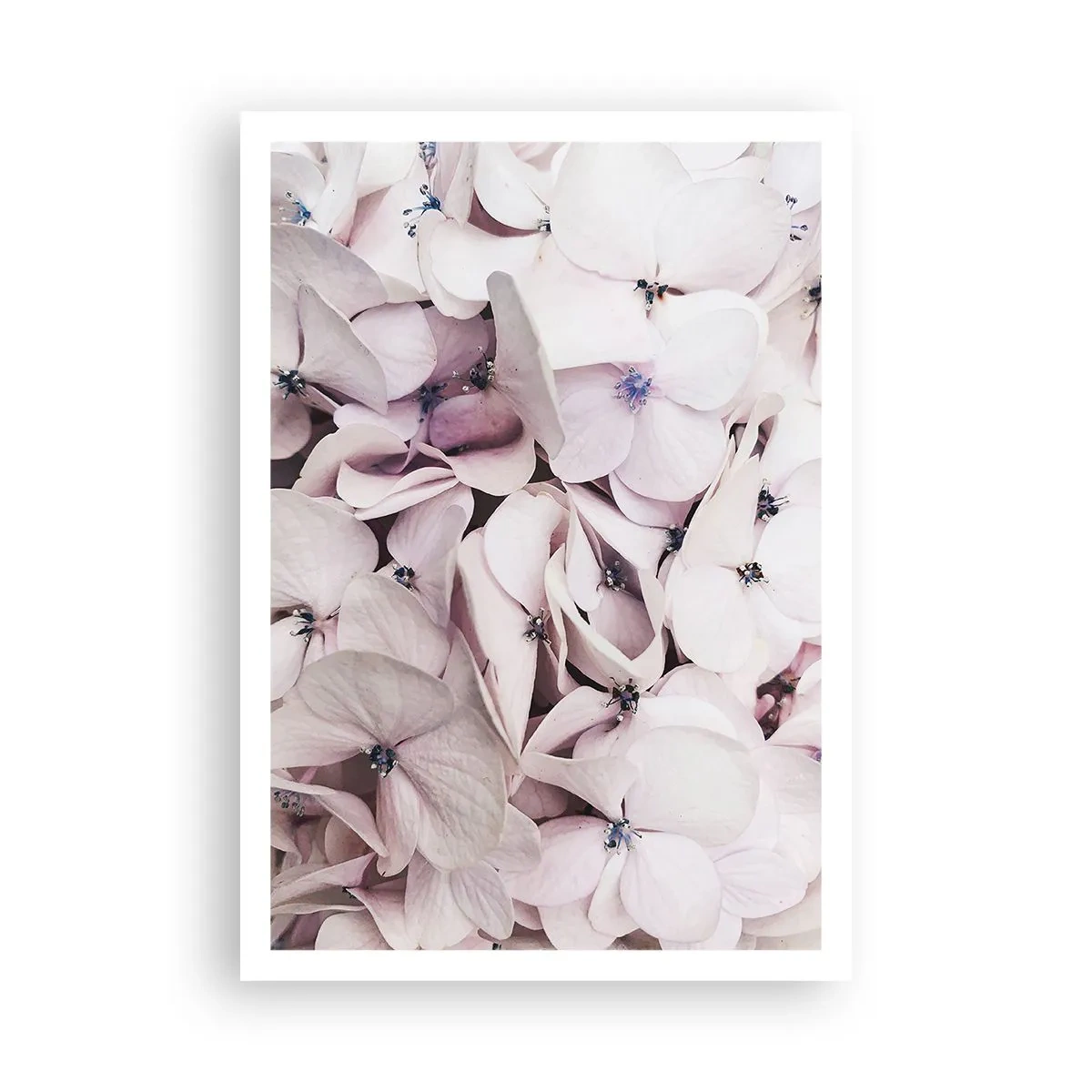 Poster - In the Flood of Flowers - 70x100 cm