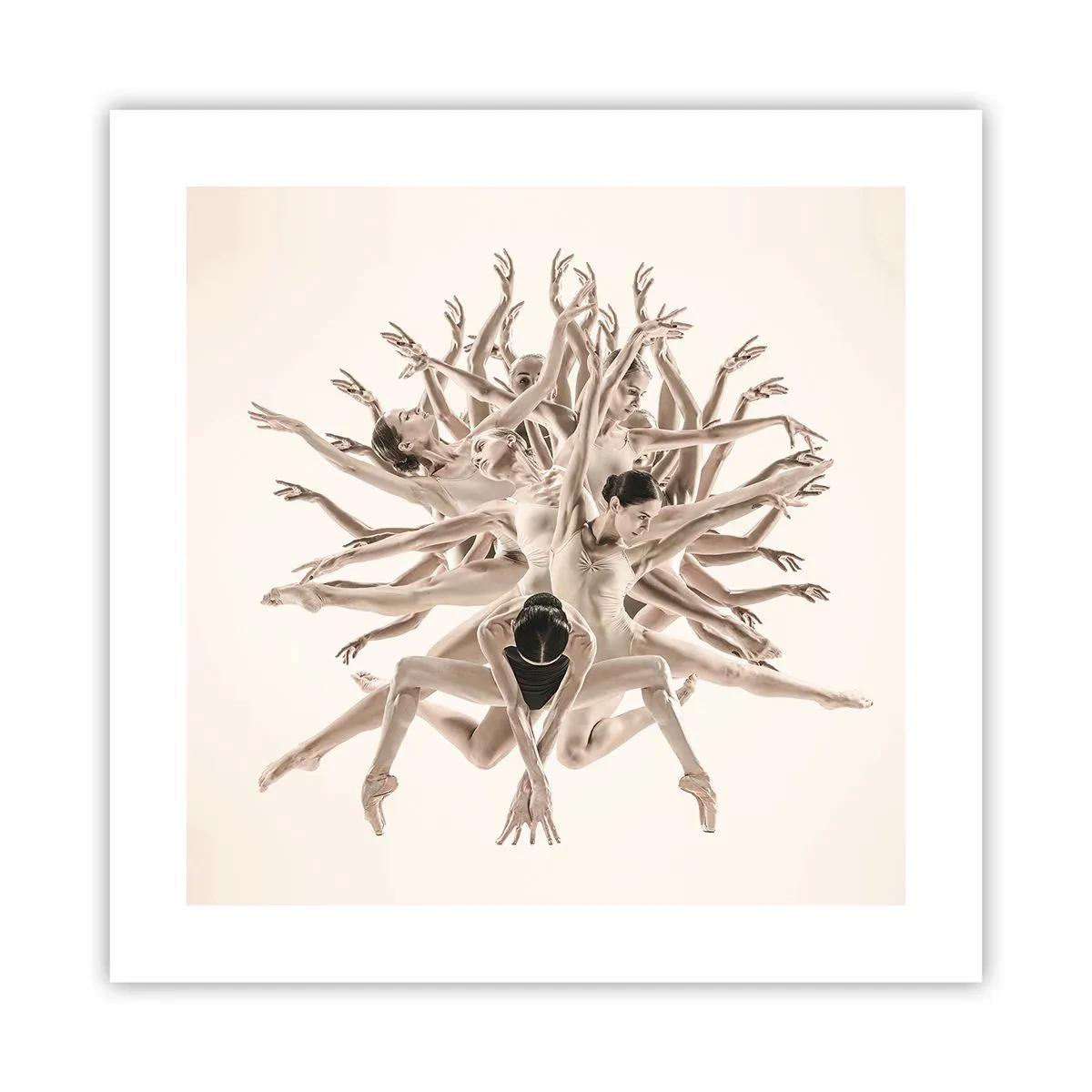 Poster - Dance in Bloom - 40x40 cm