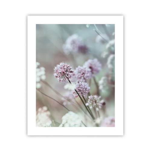 Poster - Sweet Filigrees of Herbs - 40x50 cm