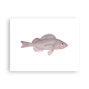Poster - Big-eyed Fish - 40x30 cm