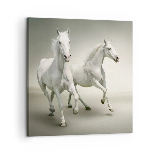 Canvas picture - White Power! - 60x60 cm