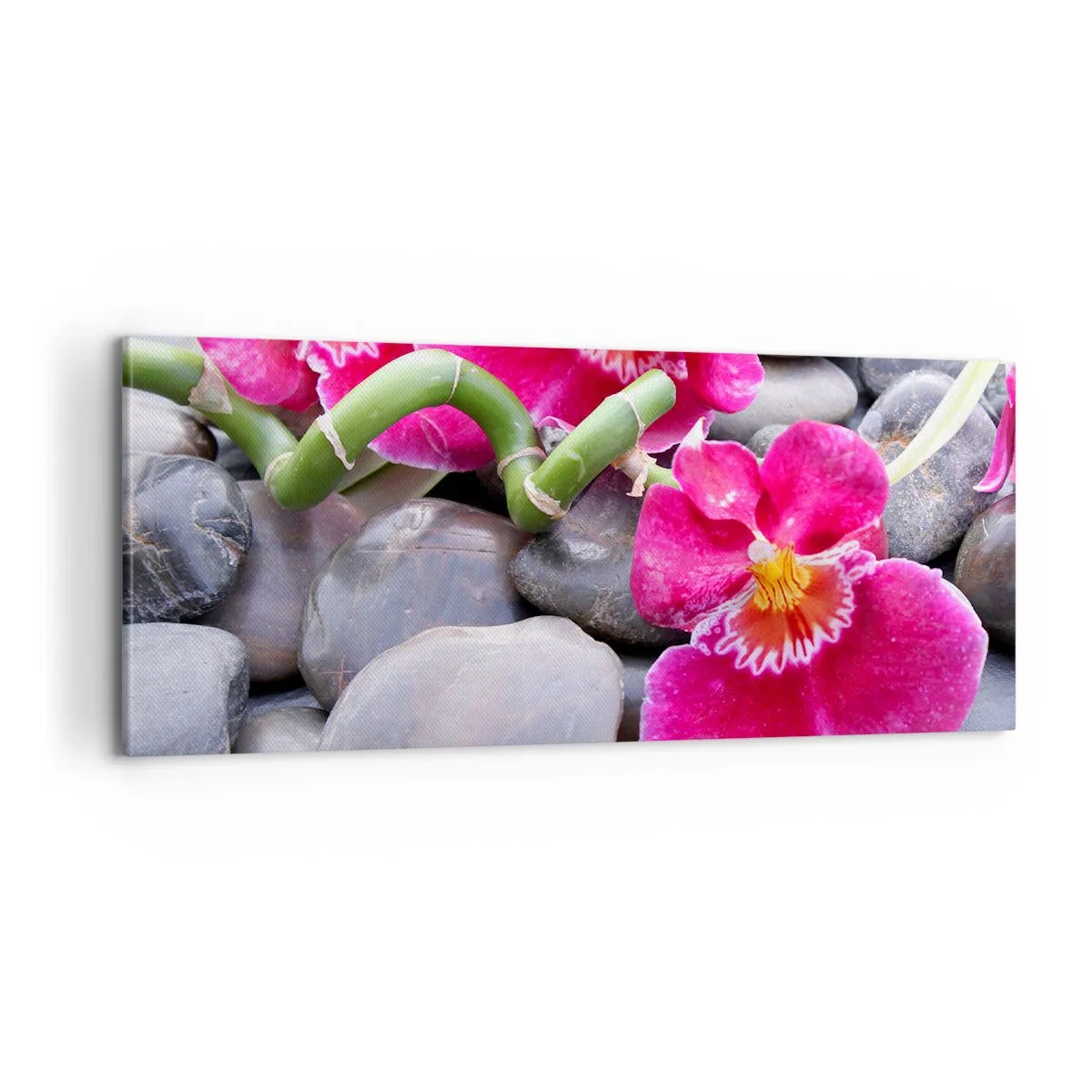 Canvas picture - Coolness and Heat - 100x40 cm