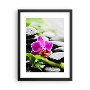 Poster in black frame - In a Peaceful Balance - 30x40 cm