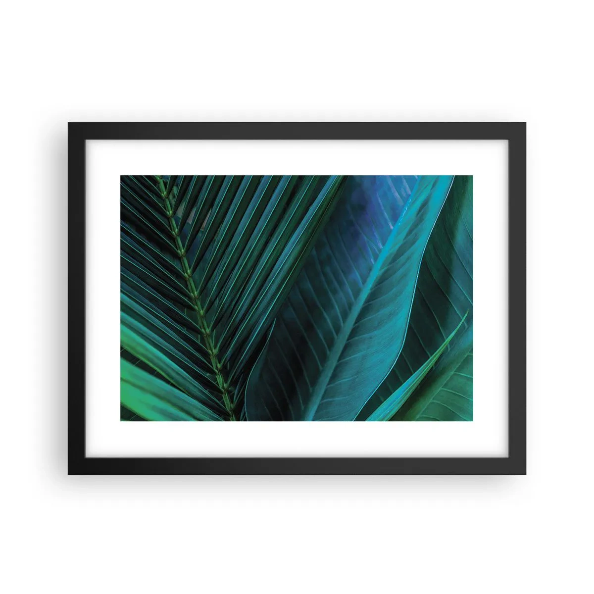 Poster in black frame - Anatomy of Green - 40x30 cm