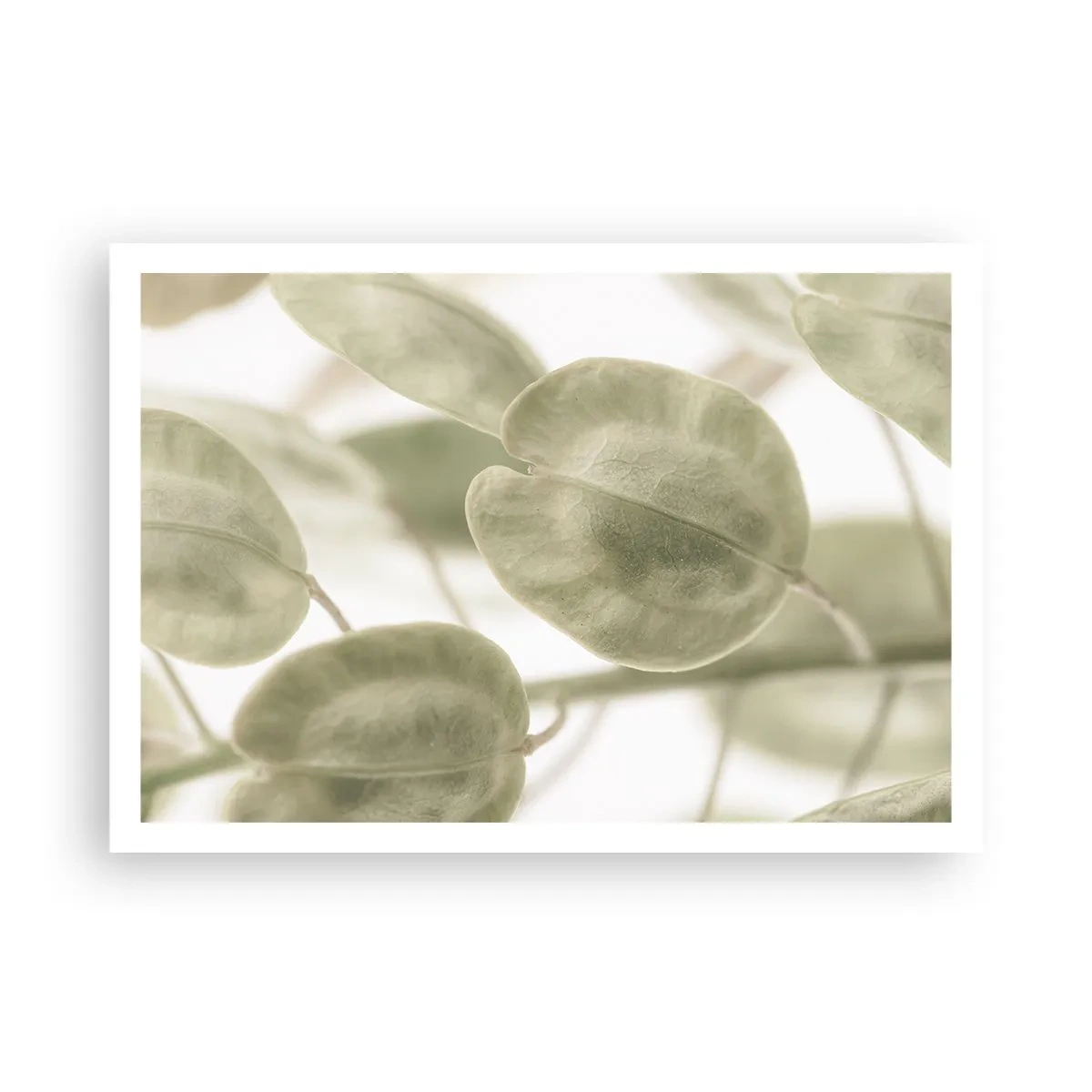 Poster - In the Beginning There Were Leaves… - 100x70 cm