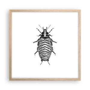 Poster in light oak frame - What a Specimen - 50x50 cm