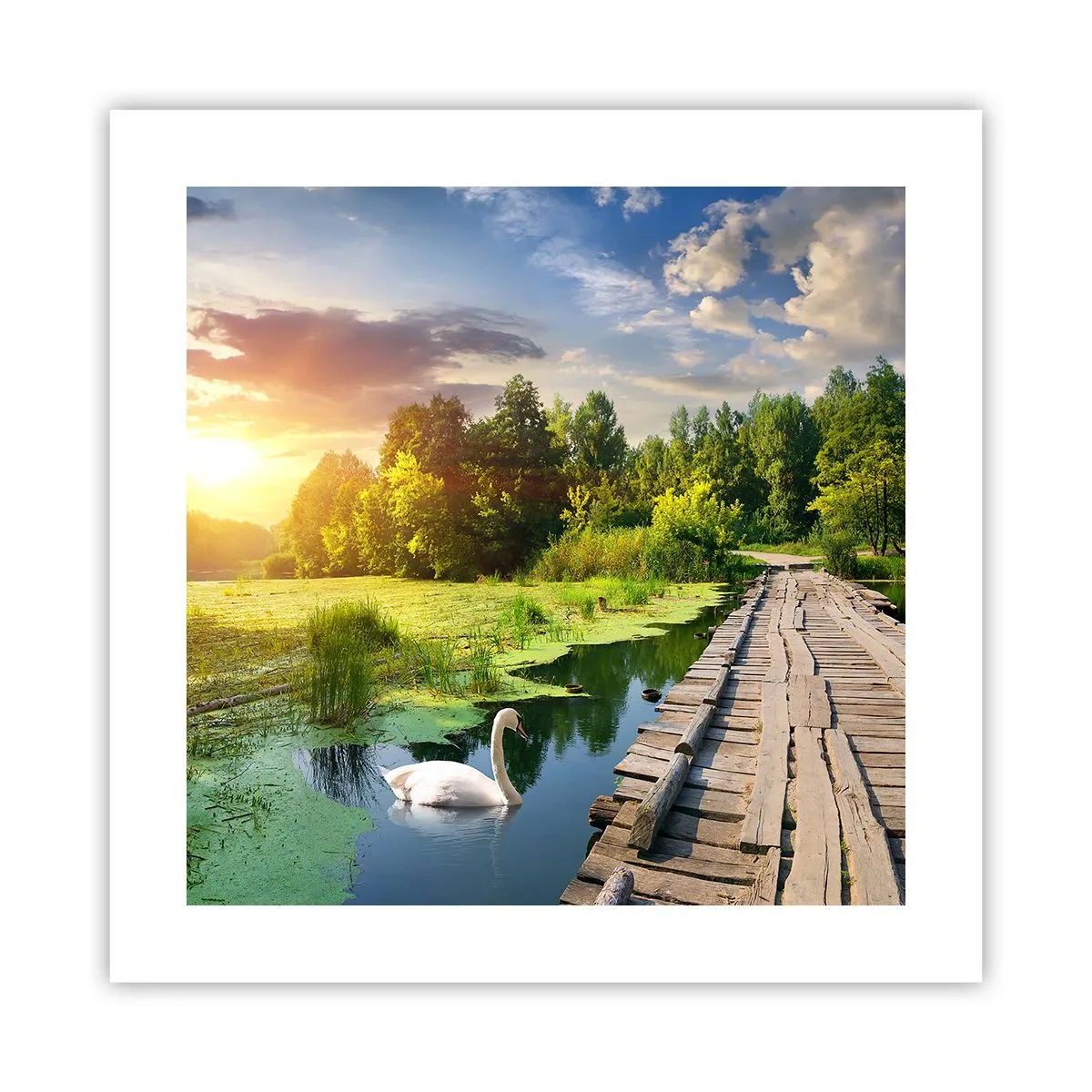 Poster - Summer Everywhere - 40x40 cm