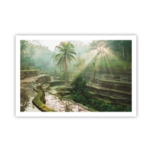 Poster - Maturing in the Sun - 91x61 cm