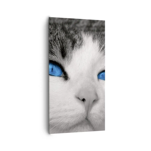 Canvas picture - Extremely Blue-eyed - 65x120 cm
