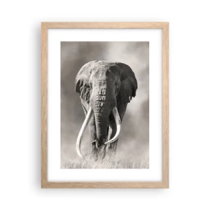 Poster in light oak frame - African Patriarch - 30x40 cm