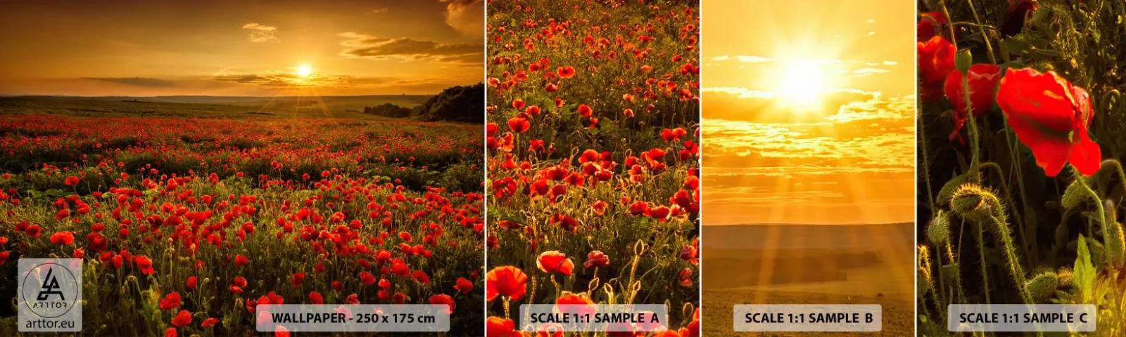 Photo Wallpaper Sample Self-Adhesive Deluxe Sticker - In the Meadow, among Flood of Flowers - Landscape, Flowers, Poppies - 100x30 cm