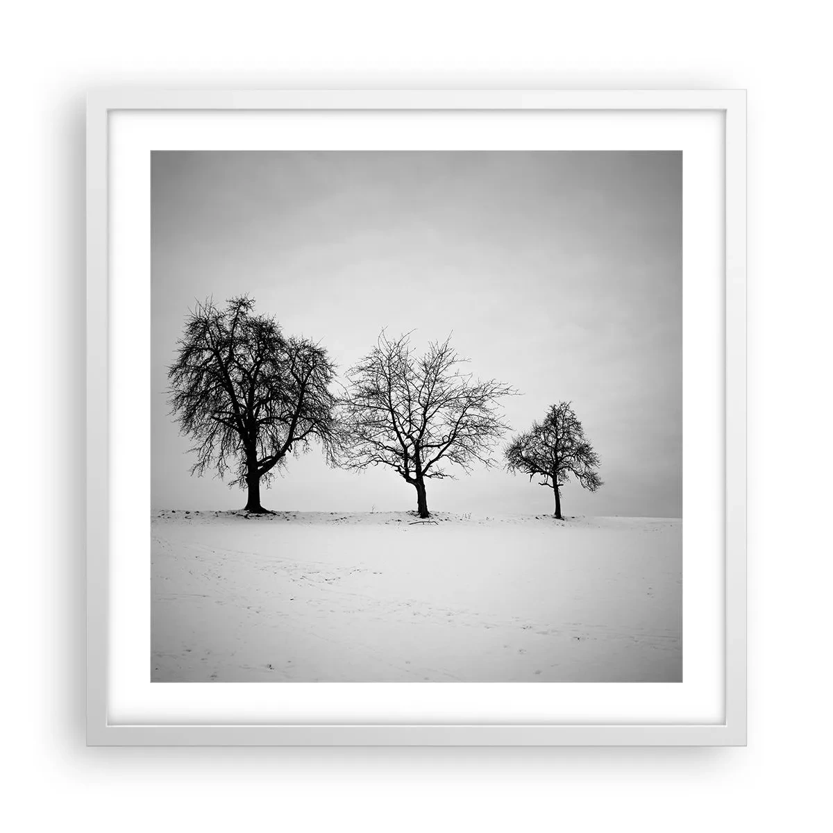 Poster in white frmae - What Are They Dreaming About? - 50x50 cm