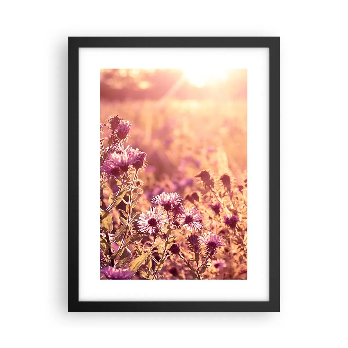 Poster in black frame - Before Summer Goes - 30x40 cm