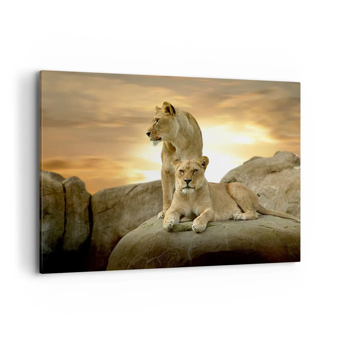Canvas picture - Royal Majesty - 100x70 cm