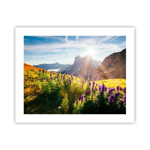 Poster - Secret Life of Herbs - 50x40 cm