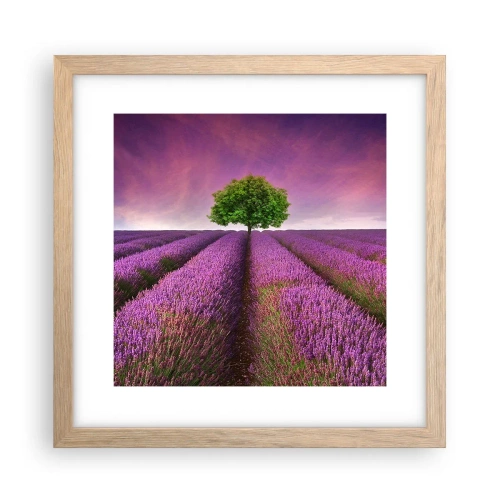 Poster in light oak frame - In the Fields of Lavender - 30x30 cm