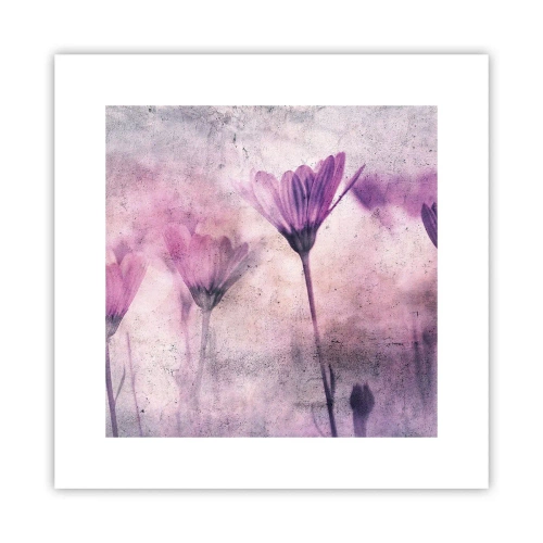 Poster - Dream of Flowers - 30x30 cm