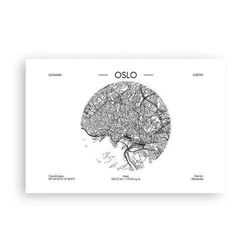 Poster - Anatomy of Oslo - 91x61 cm