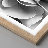 Light Oak