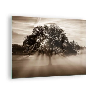 Glass picture - A tree in the morning fog with sun rays shining through the branches - 70x50cm - Tree of Good Knowledge - Modern wall decoration for the living room and bedroom ARTTOR