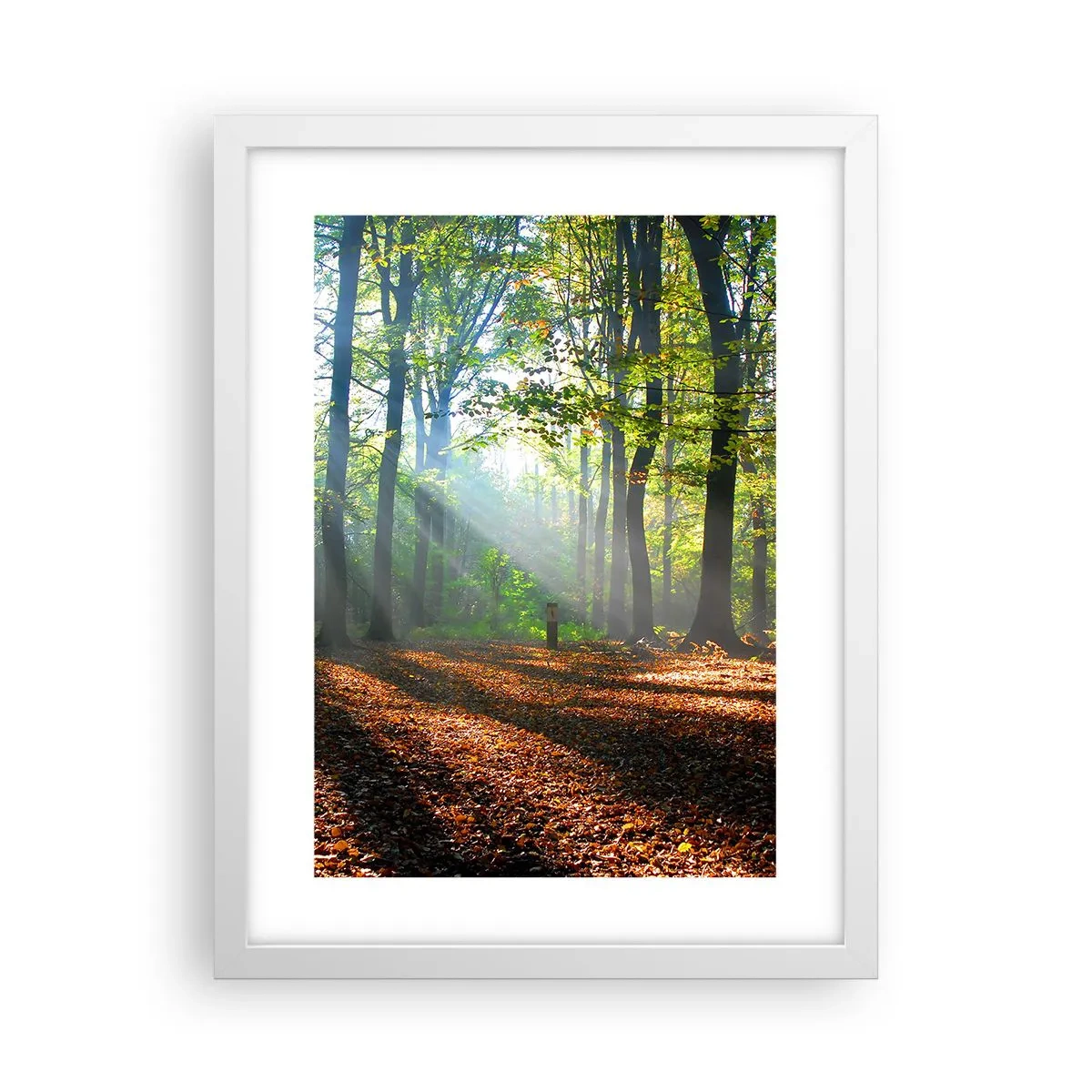 Poster in white frmae - Highs And Lows - 30x40 cm