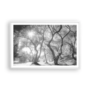 Poster in white frmae - In an Olive Grove - 91x61 cm