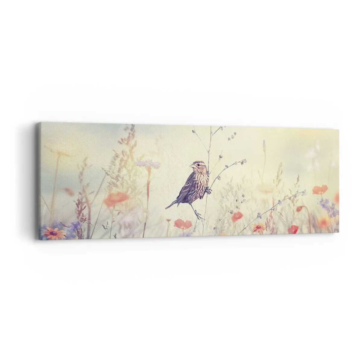 Canvas picture - Bird Portrait with a Meadow in the Background - 90x30 cm