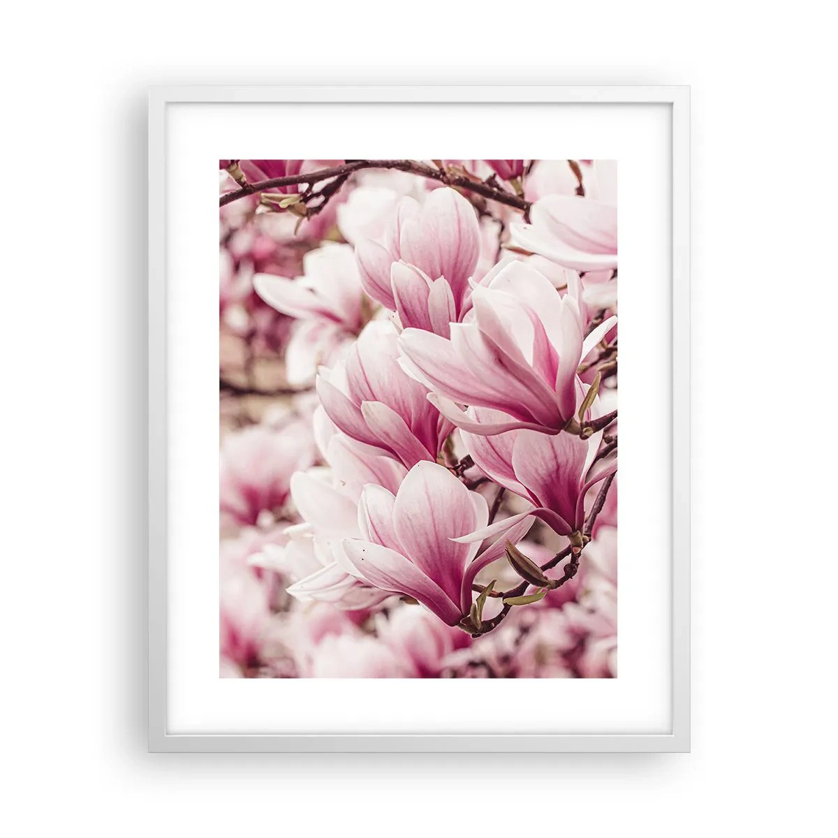 Poster in white frmae - Spring is Pink - 40x50 cm