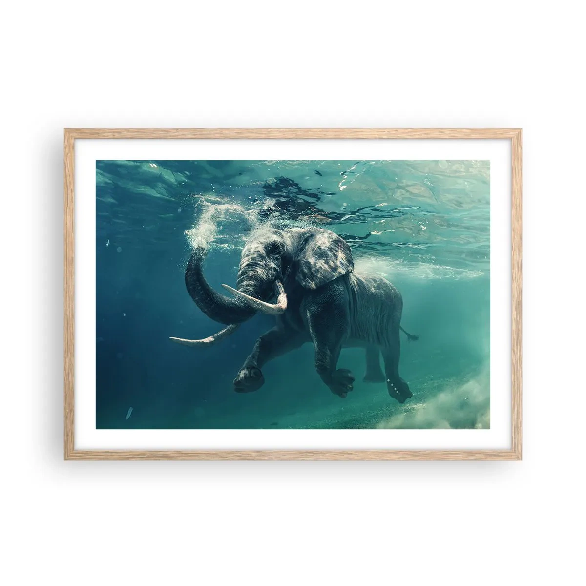 Poster in light oak frame - Everyone Likes to Swim - 70x50 cm