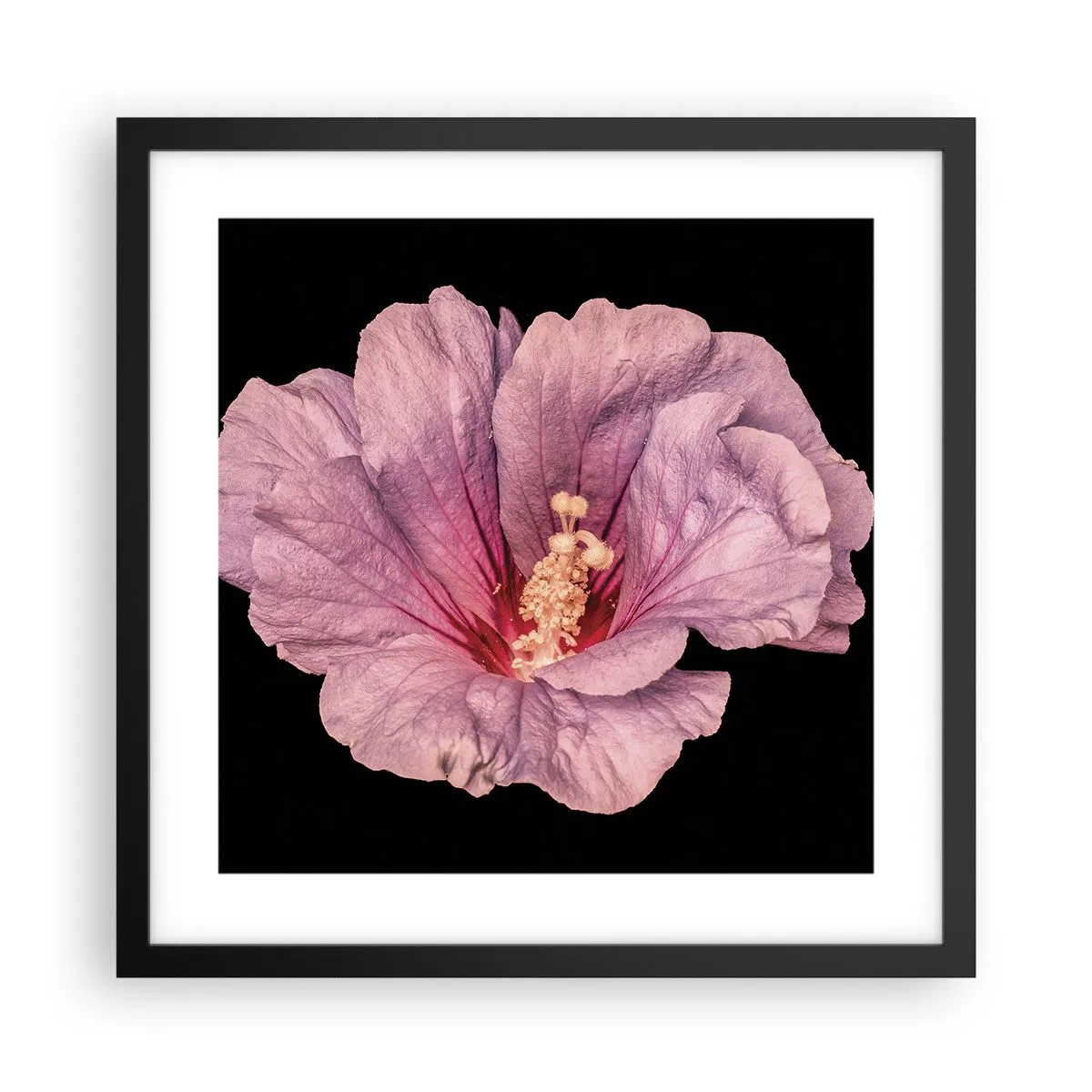 Poster in black frame - Straight from the Heart - 40x40 cm