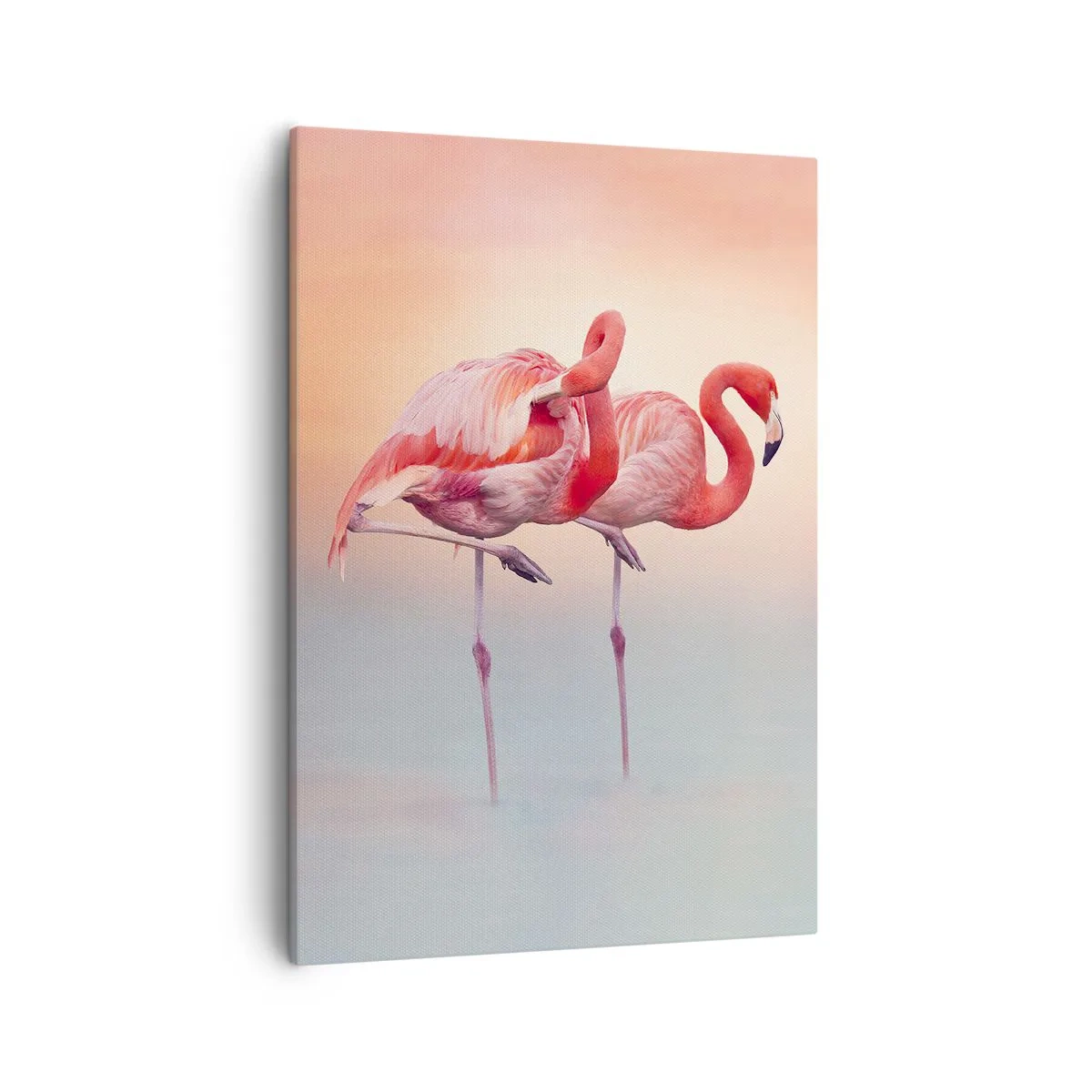 Canvas picture - In the Colour Of Sunset - 50x70 cm