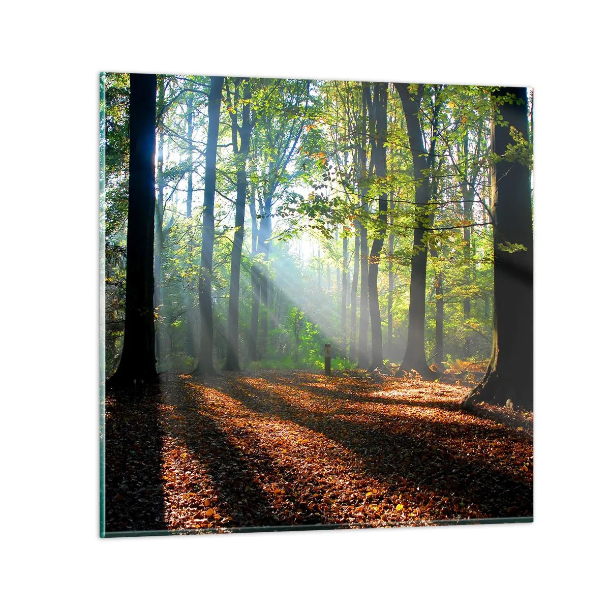 Glass picture - Highs And Lows - 60x60 cm