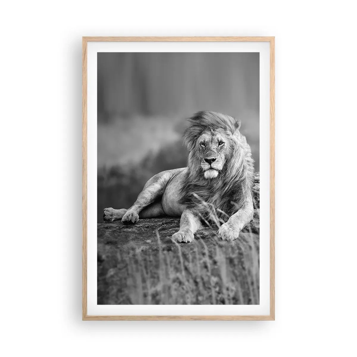 Poster in light oak frame - Royal Siesta - 61x91 cm