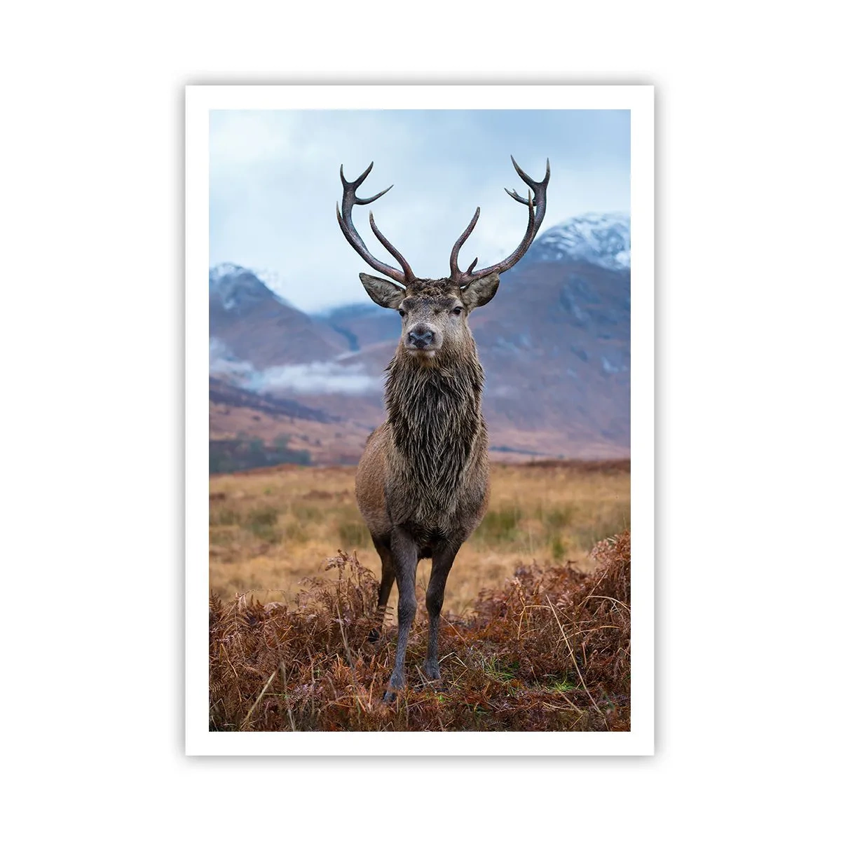 Poster - On Your Own Land - 70x100 cm