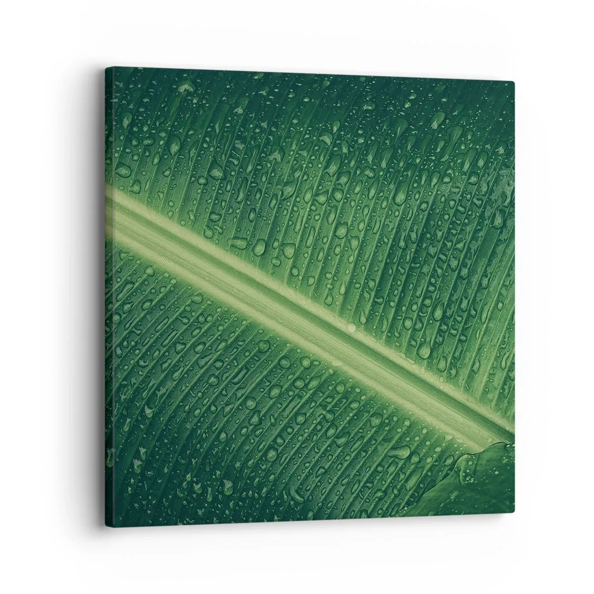 Canvas picture - Structure of Green - 30x30 cm
