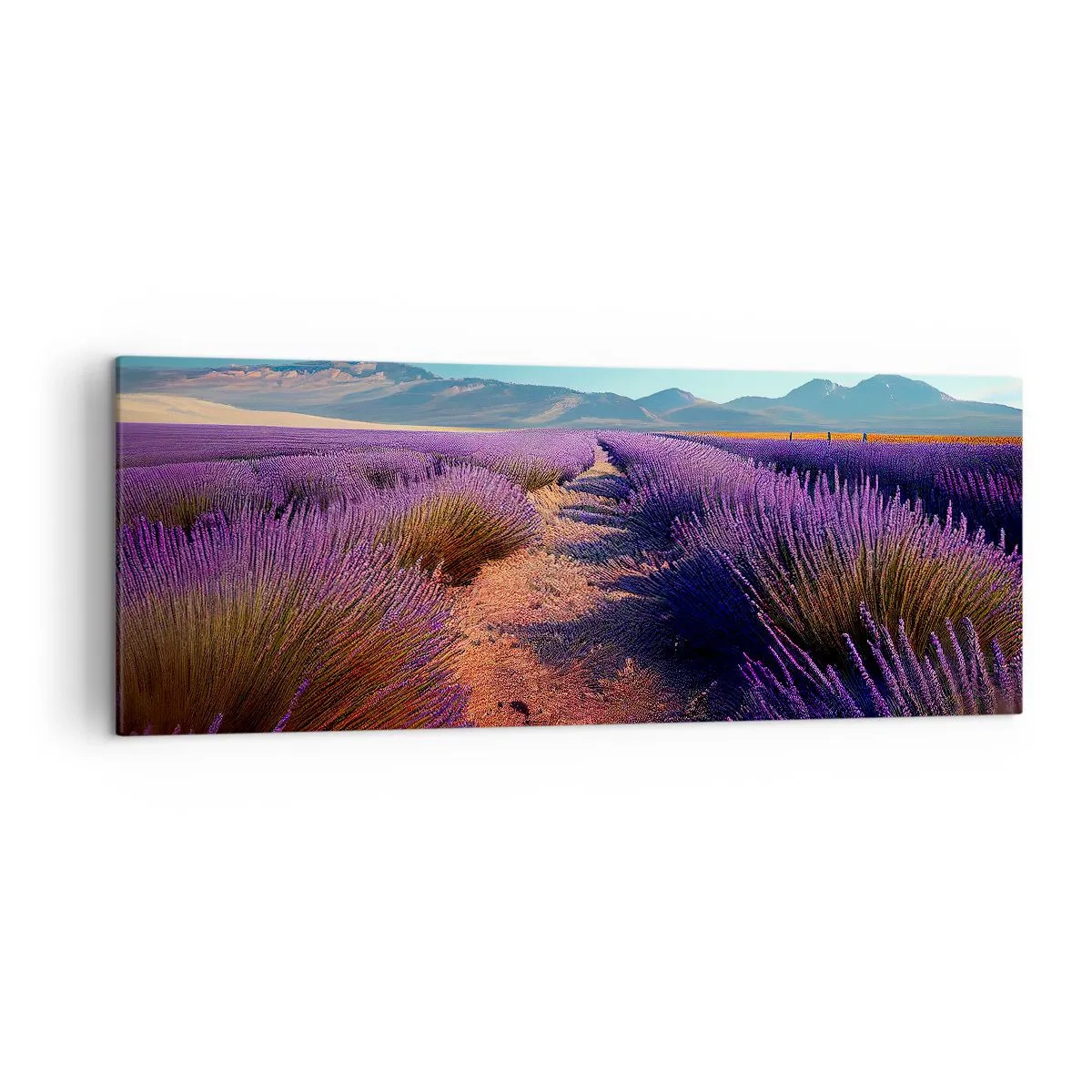 Canvas picture - Fragrant Fields - 140x50 cm