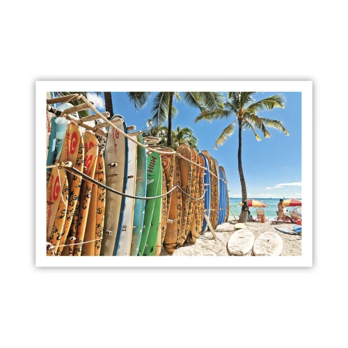 Poster - Sunny Fun - 91x61 cm