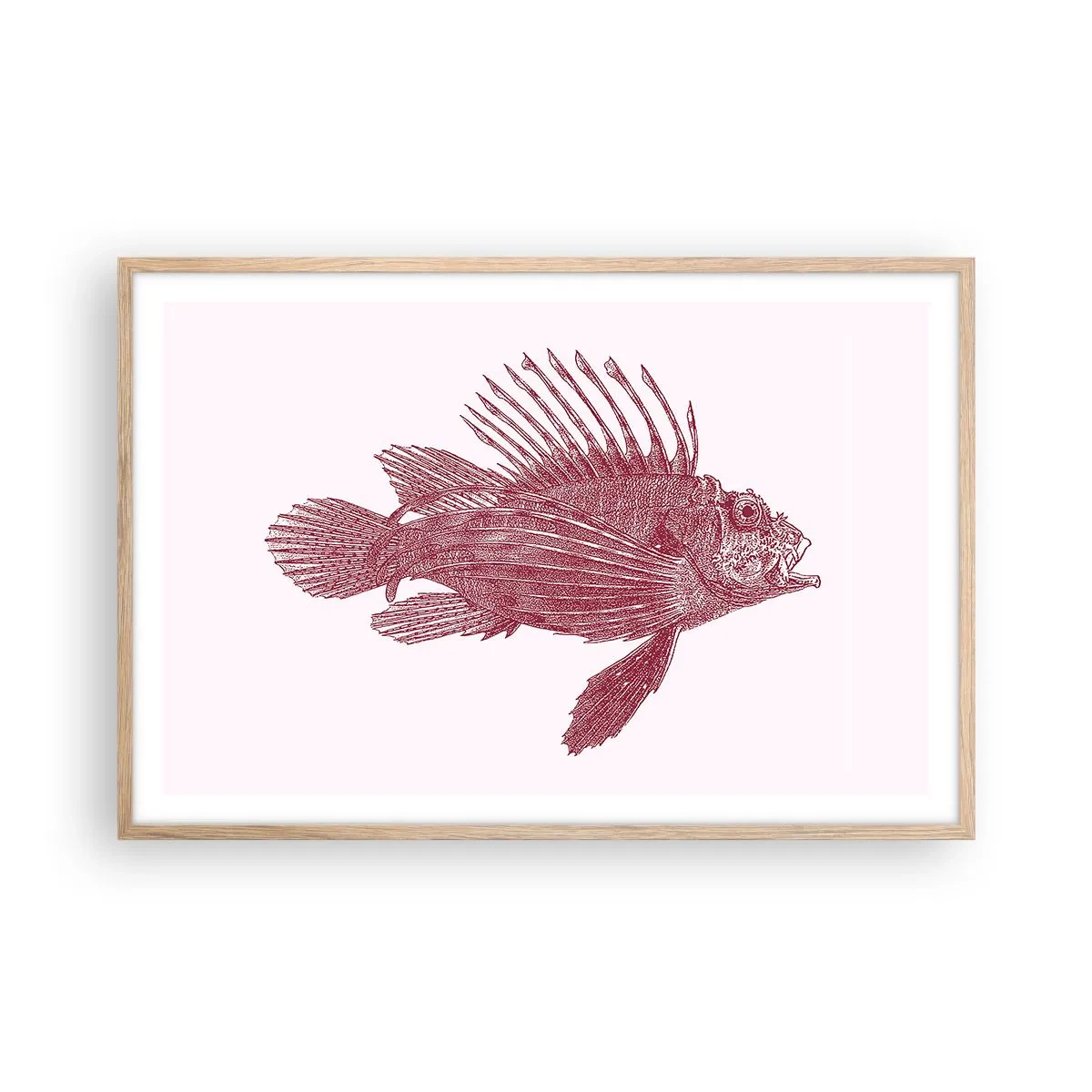 Poster in light oak frame - Dweller of Exotic Waters - 91x61 cm