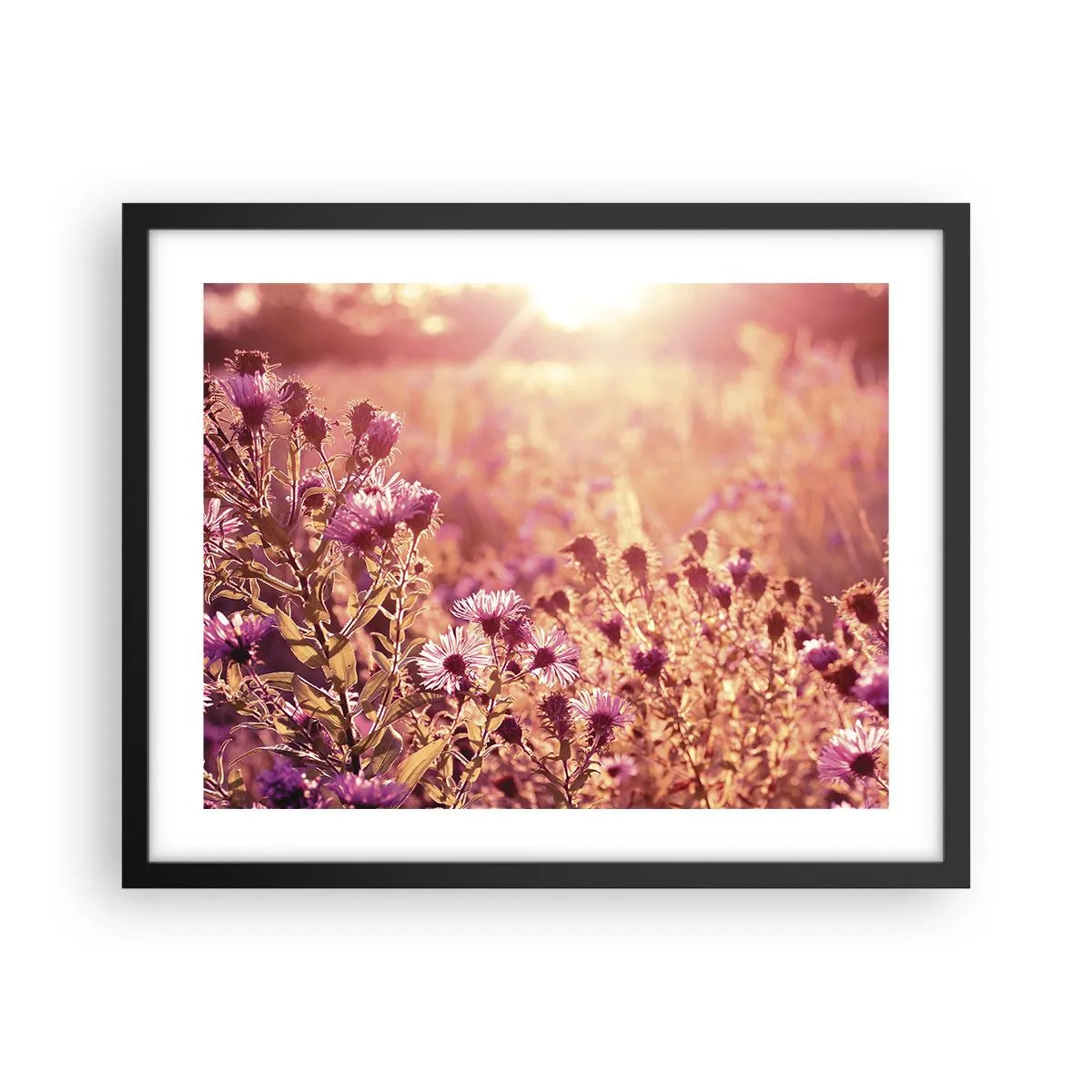 Poster in black frame - Before Summer Goes - 50x40 cm