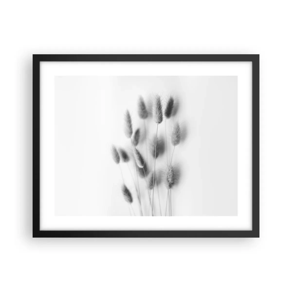 Poster in black frame - Her Softness Grass - 50x40 cm