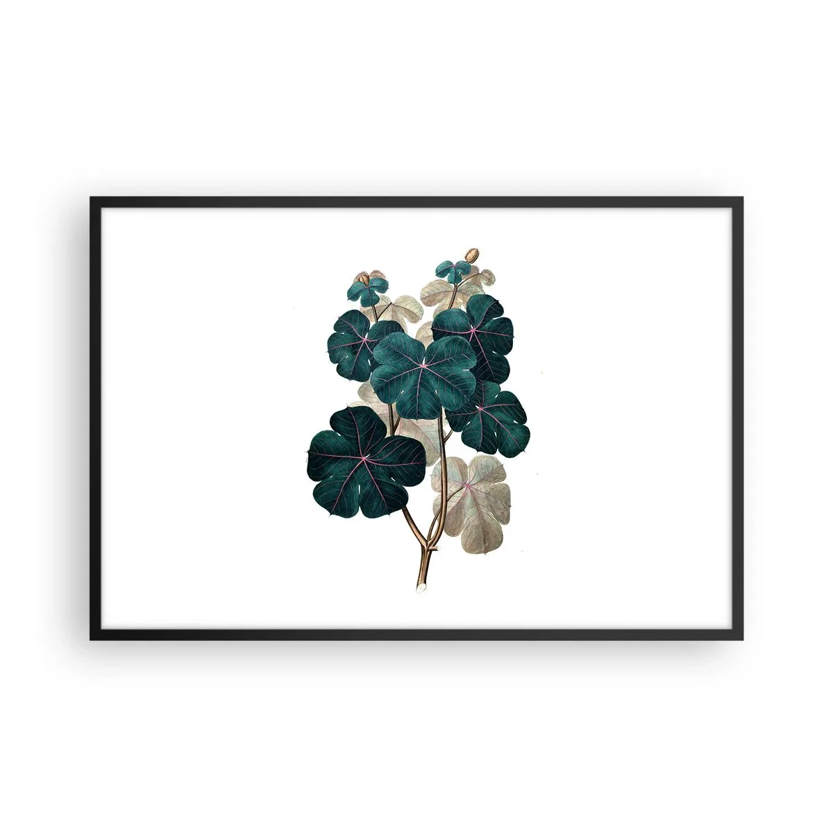 Poster in black frame - From the Old Herbarium - 91x61 cm