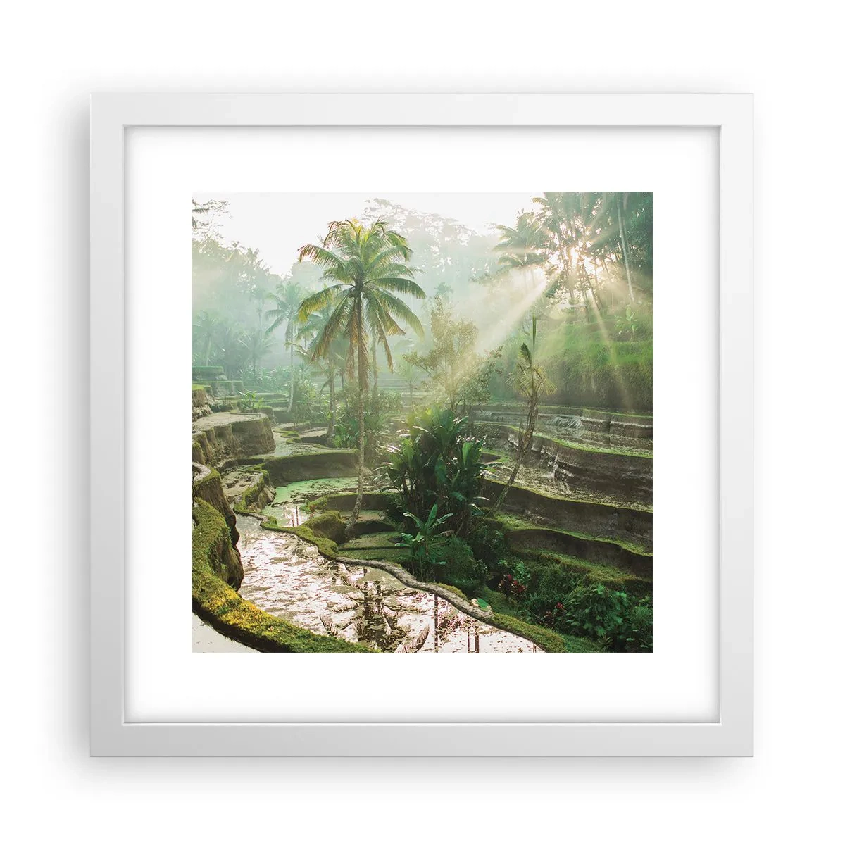 Poster in white frmae - Maturing in the Sun - 30x30 cm