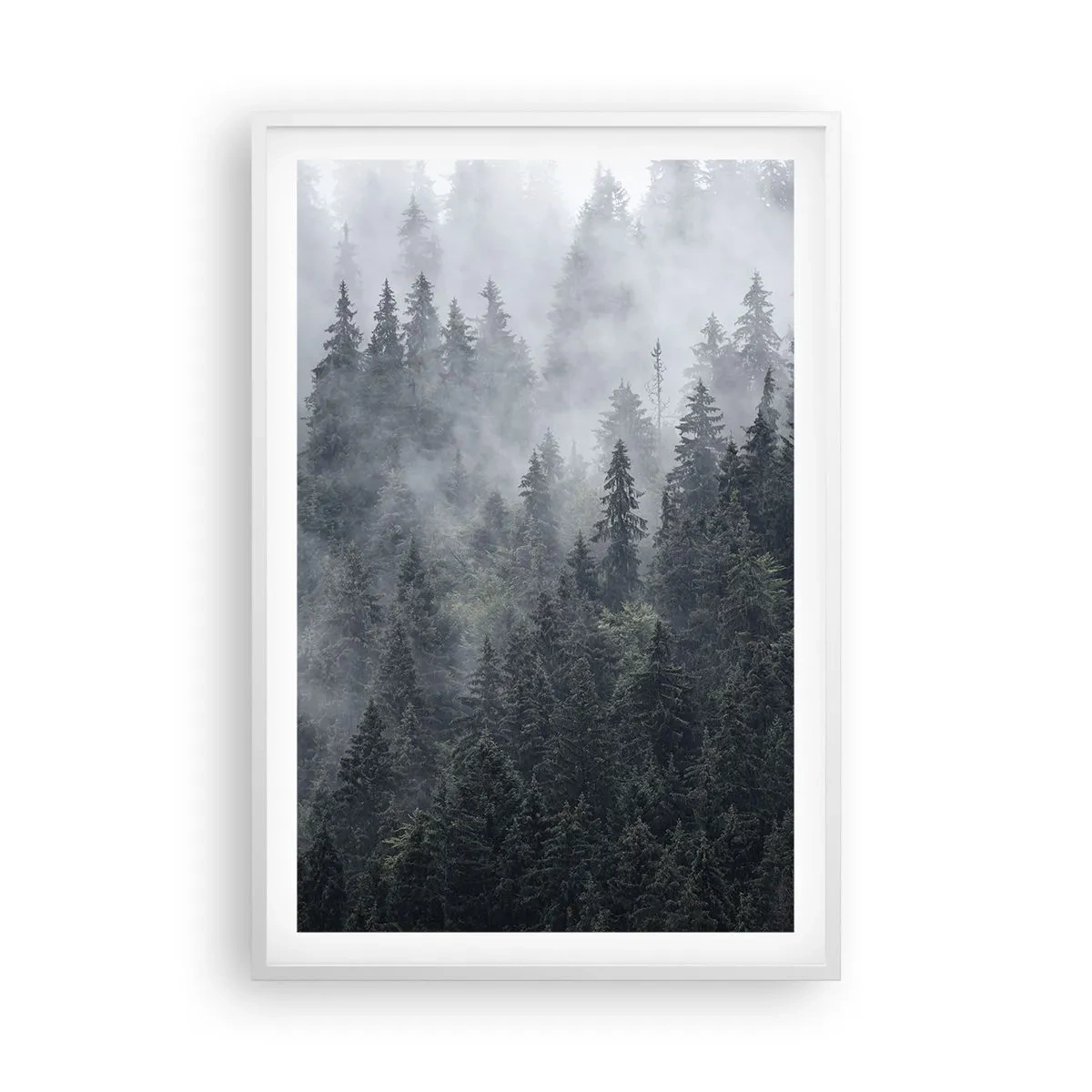 Poster in white frmae - Forest World - 61x91 cm