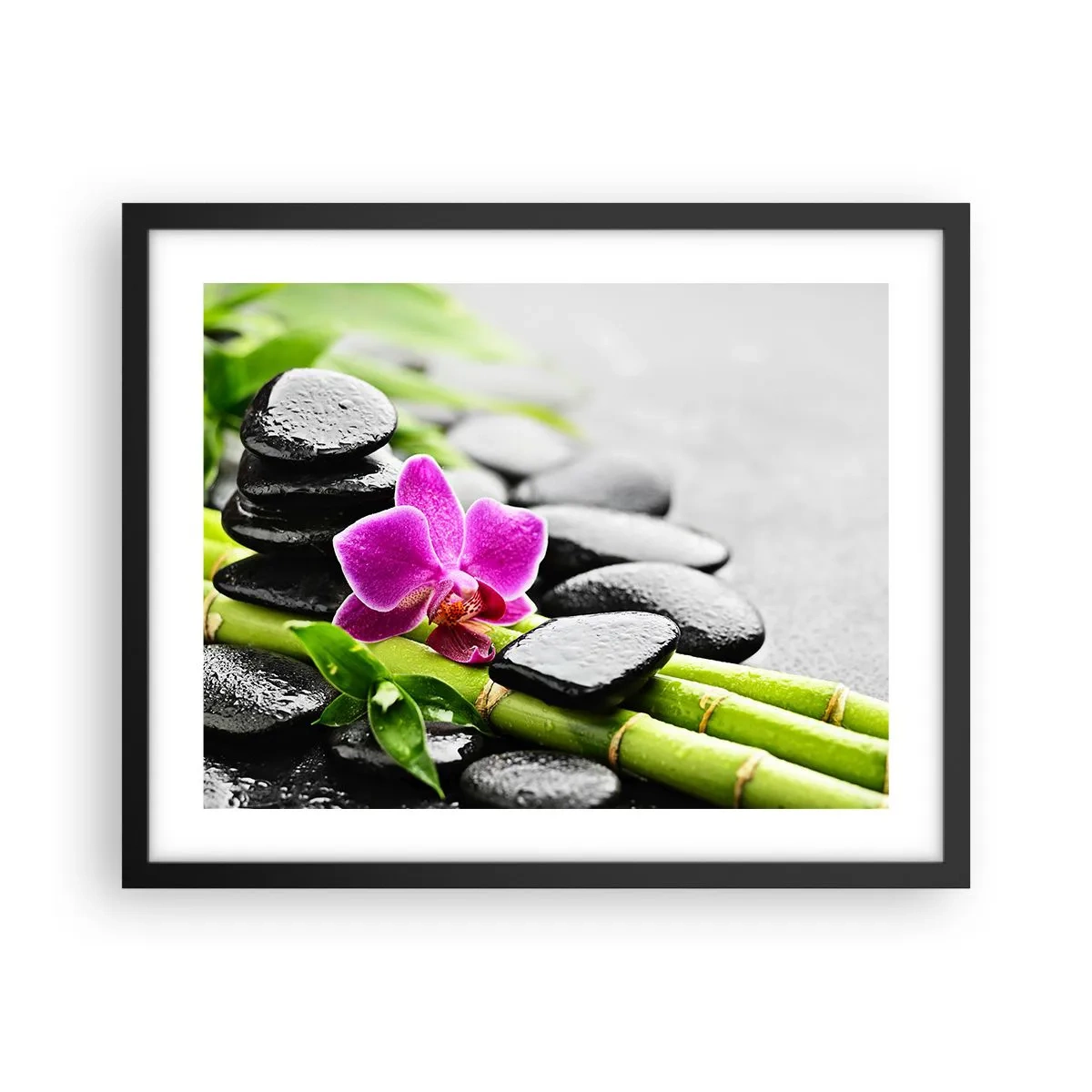 Poster in black frame - In a Peaceful Balance - 50x40 cm