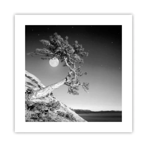 Poster - Winning Warrior - 40x40 cm