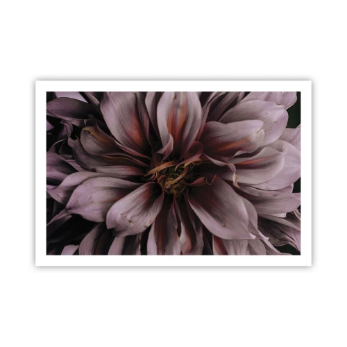 Poster - Flowery Heart - 91x61 cm