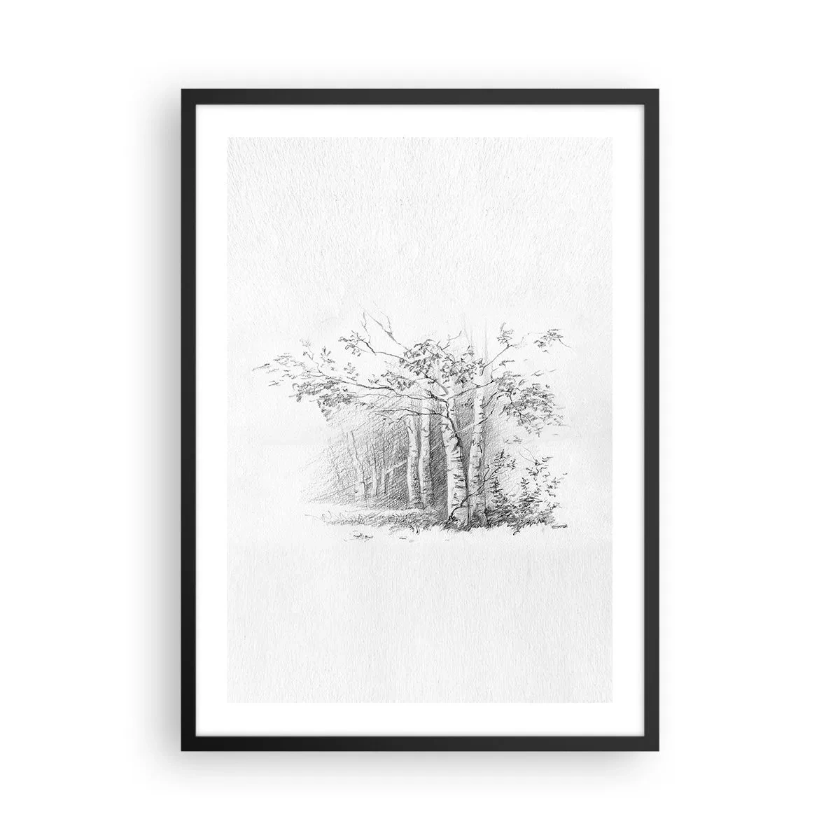 Poster in black frame - sketch of a birch forest in subtle black and white tones. - 50x70cm - Holiday of Birch Forest - Modern wall decoration for the living room and bedroom ARTTOR