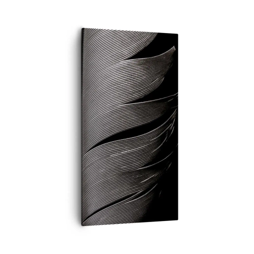 Canvas picture - Feather - Wonderful Constract - 55x100 cm