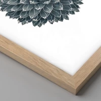 Light Oak