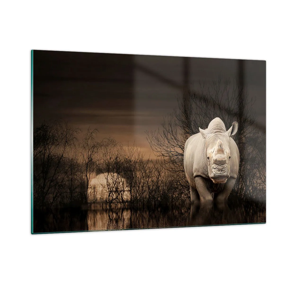 Glass picture - White against Nature - 120x80 cm